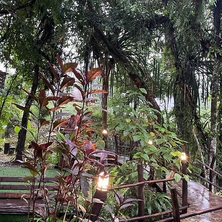 Khaosok Farmstay Khao Sok National Park Dış mekan fotoğraf
