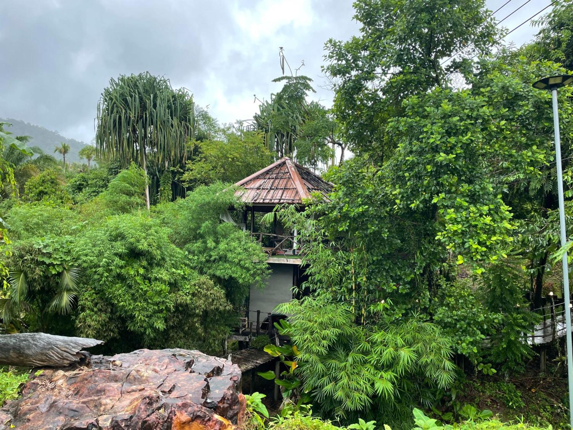 Khaosok Farmstay Khao Sok National Park Dış mekan fotoğraf
