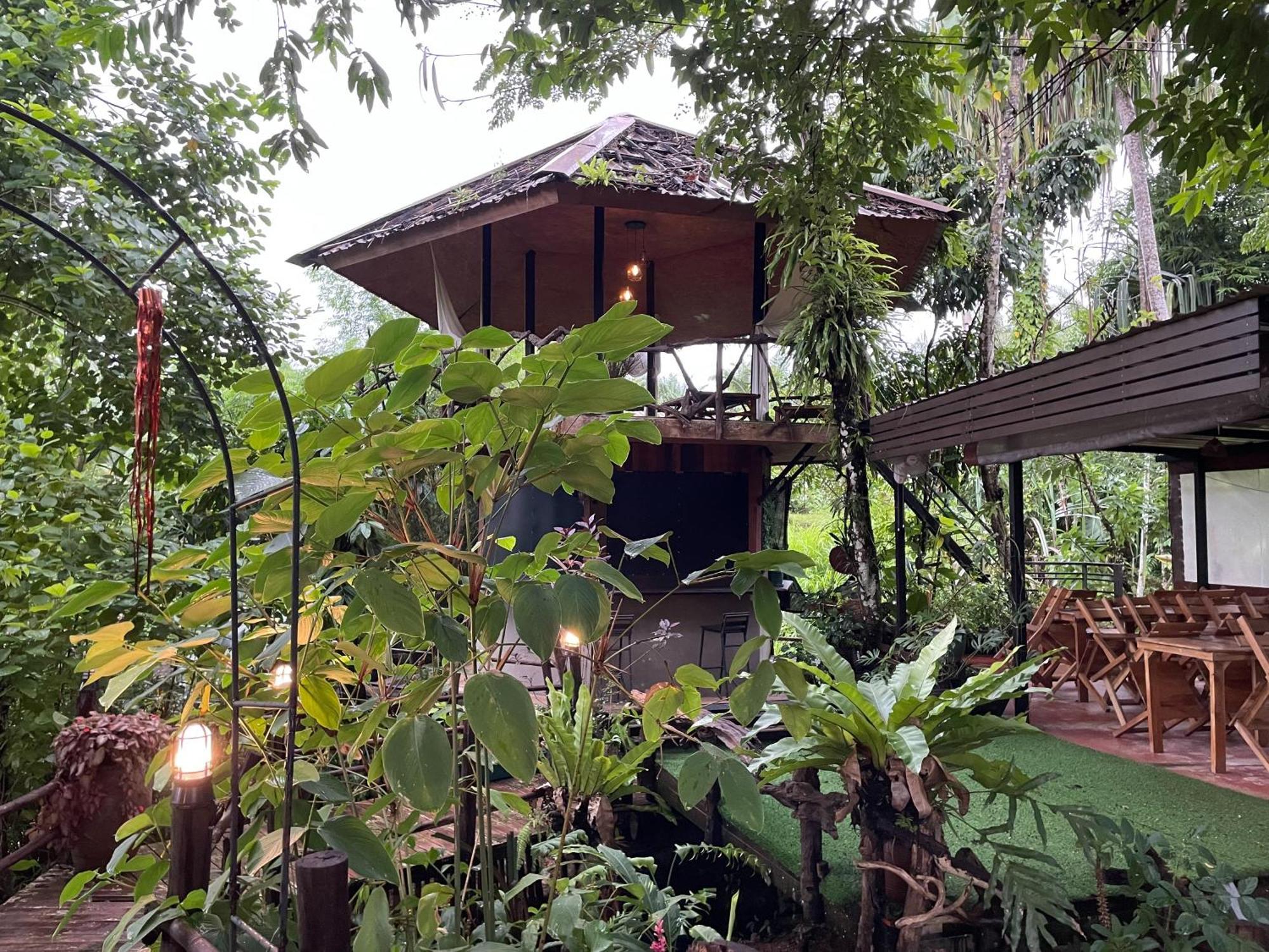 Khaosok Farmstay Khao Sok National Park Dış mekan fotoğraf